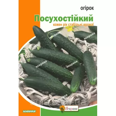 Огірок Посухостійкий 10 г, насіння Яскрава