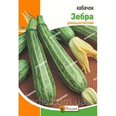 Кабачок Зебра 20 г, насіння Яскрава