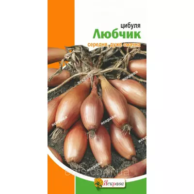Цибуля Любчик 1 г, насіння Яскрава