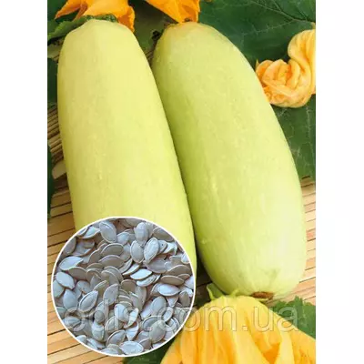 Кабачок Чаклун 100 г, вагове насіння Яскрава