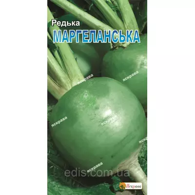 Редька Маргеланская (зелена) 3 г, насіння Яскрава