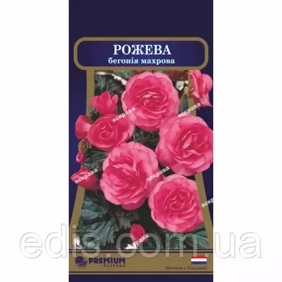 Бегонія махрова Рожева F1 10 насінин в оболонці, Яскрава PREMIUM