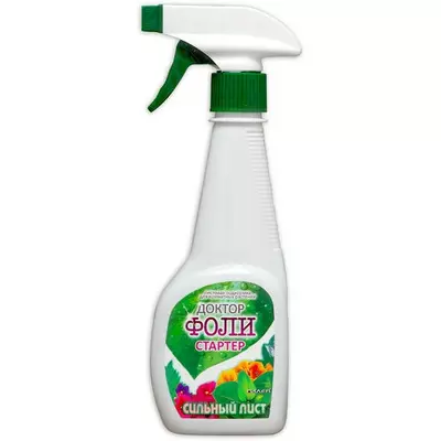 Хоста Alvatine Taylor (Алватін Тейлор) кореневище