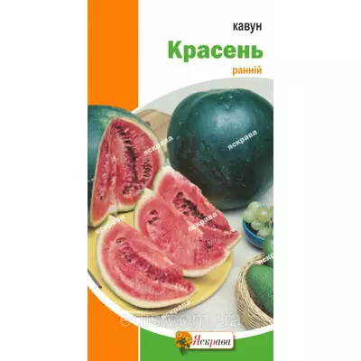Кавун Красень 2 г, насіння Яскрава