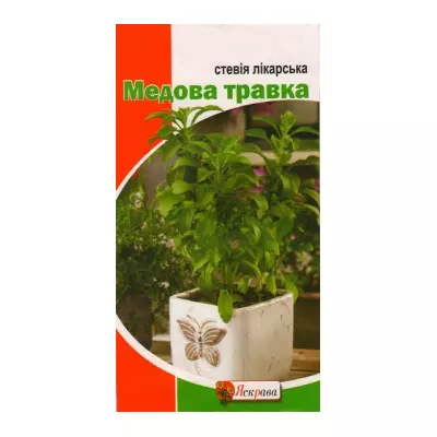 Стевія лікарська Медова травичка 5 насінин, Яскрава