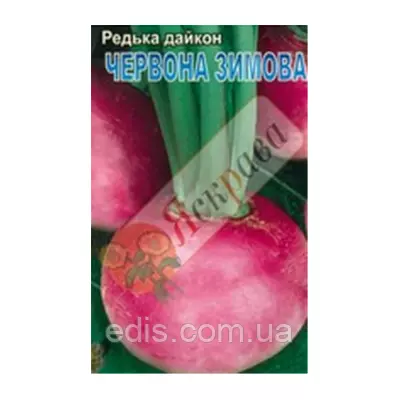 Редька дайкон Зимова червона 2 г, насіння Яскрава