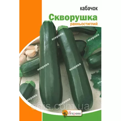 Кабачок Скворушка (цукіні) 20 г, насіння Яскрава