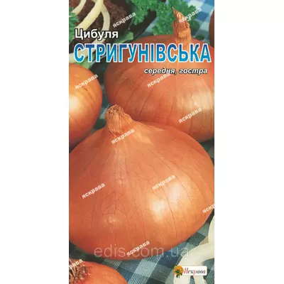 Цибуля Стригунівска 1 г, насіння Яскрава