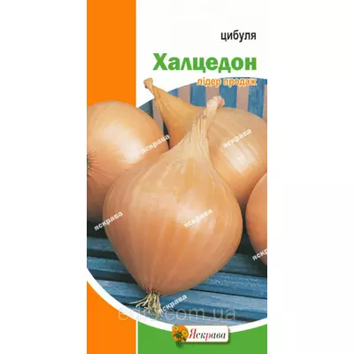 Цибуля Халцедон 1 г, насіння Яскрава