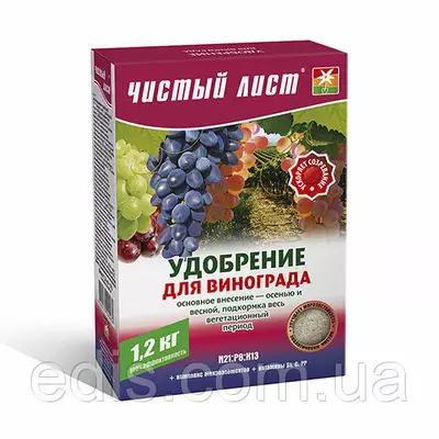 Барбарис Тунберга Kelleriis (Келлерис) в контейнере