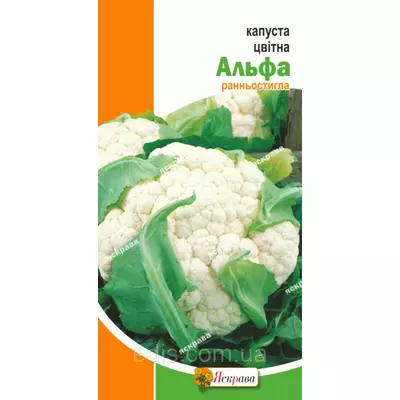 Капуста цвітна Альфа 0,3 г, насіння Яскрава