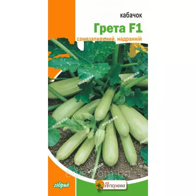 Кабачок Грета F1 (5 шт.), насіння Яскрава