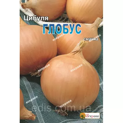 Цибуля Глобус 5 г, насіння Яскрава