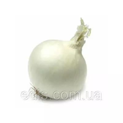 Цибуля севок (саженка) Snowball (Сноубол) 0,5 кг