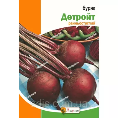 Буряк столовий Детройт 20 г, насіння Яскрава