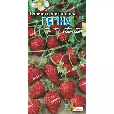 Суниця Регіна (гігантська) 0,1 г, насіння Яскрава