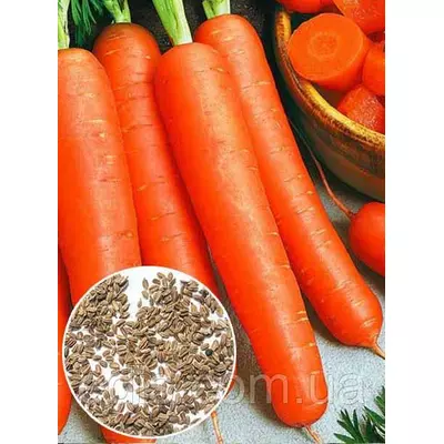 Морква Перфекція 100 г, вагове насіння Яскрава