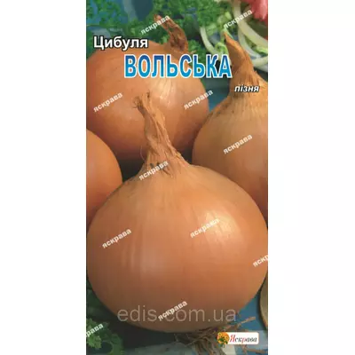 Цибуля Вольська 1 г, насіння Яскрава