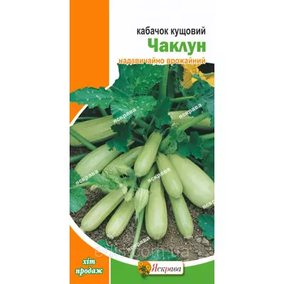 Кабачок Чаклун 3 г, насіння Яскрава