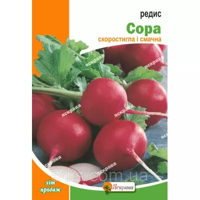 Редис Сора 20 г, насіння Яскрава