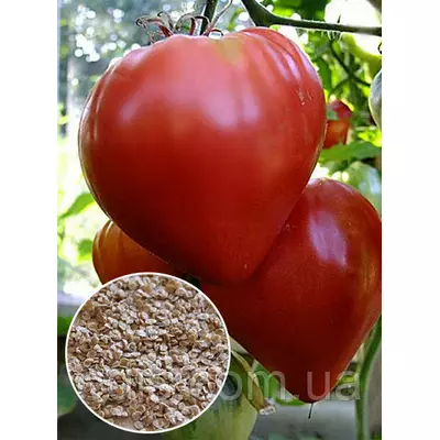 Томат Волове серце червоне 20 г, насіння Яскрава