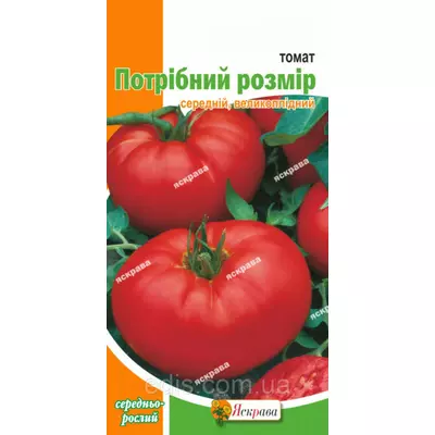 Томат Потрібний розмір 0,1 г, насіння Яскрава