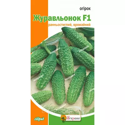 Огірок Журавльонок F1 0,5 г, насіння Яскрава