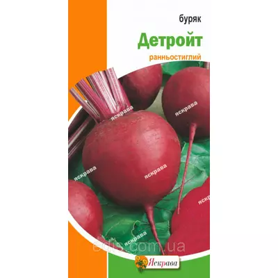 Буряк столовий Детройт 3 г, насіння Яскрава