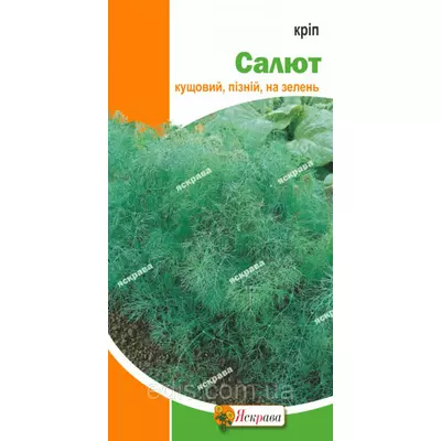 Кріп Салют 5 г, насіння Яскрава
