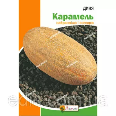 Диня Карамель 10 г, насіння Яскрава