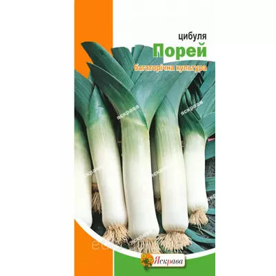 Цибуля Порей 1 г, насіння Яскрава