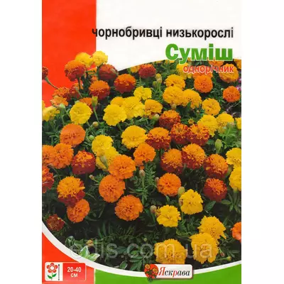 Чорнобривці Низькорослі Суміш 5 г, насіння Яскрава