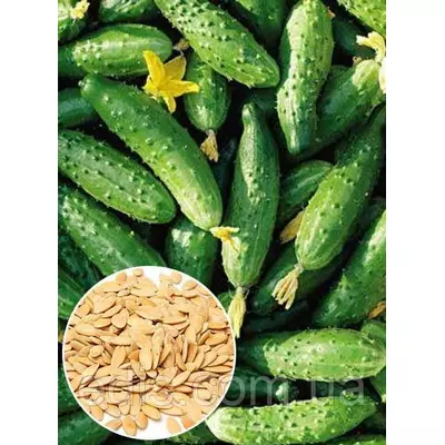 Огірок Конкурент 50 г, вагове насіння Яскрава