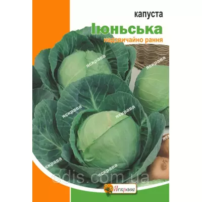 Капуста білоголова Іюньська 10 г, насіння Яскрава