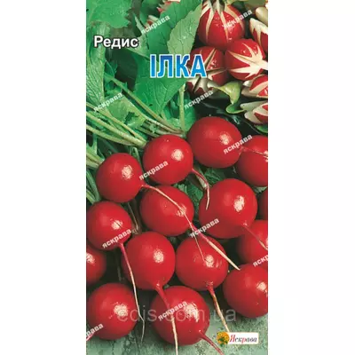 Редис Илка 3 г, насіння Яскрава