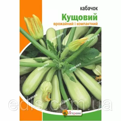 Кабачок Кущовий 20 г, насіння Яскрава