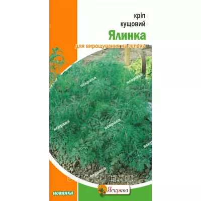 Кріп Ялинка 5 г, насіння Яскрава