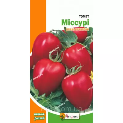 Томат Міссурі 0,1 г, насіння Яскрава