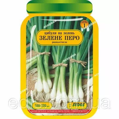 Цибуля на зелень Зелене Перо 180-220 шт. інкрустоване насіння Яскрава