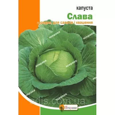 Капуста білоголова Слава 10 г, насіння Яскрава