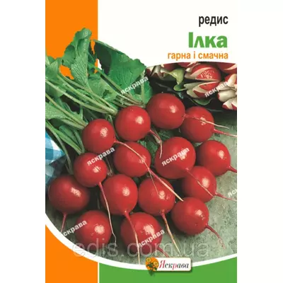 Редис Илка 10 г, насіння Яскрава
