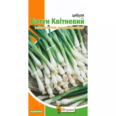 Цибуля Батун Квітневий 1 г, насіння Яскрава