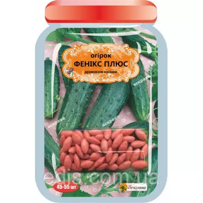 Огірок Фенікс плюс (45-55 шт.) дражоване насіння