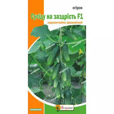 Огірок Сусіду на заздрість F1 0,5 г, насіння Яскрава