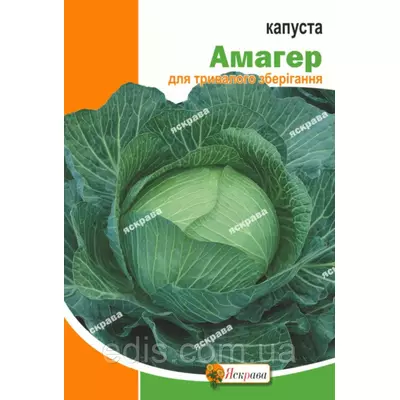 Капуста білоголова Амагер 50 г, насіння Яскрава