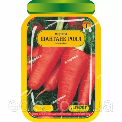 Морква Шантане роял 2 г, насіння Яскрава
