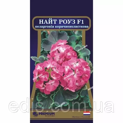 Пеларгонія коричневолиста Night Rose (Найт Роуз) F1 5 насінин в оболонці, Яскрава PREMIUM