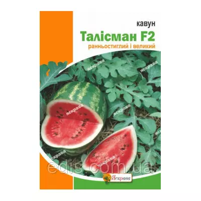 Кавун Талісман F2 1 г, насіння Яскрава