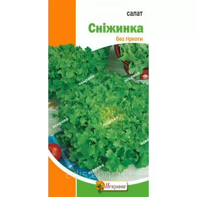 Салат Сніжинка 2 г, насіння Яскрава
