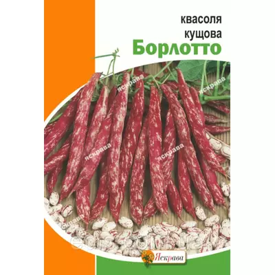 Квасоля Борлотто (кущова) 10 г, насіння Яскрава